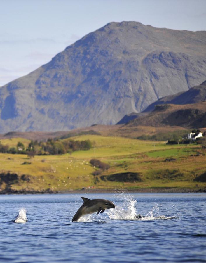 Bed & Breakfast Skye Photo Centre Camastianavaig